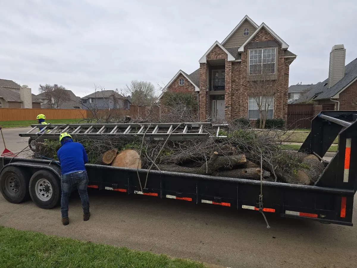 Expert Crown Reduction with proper safety equipment in Pineland